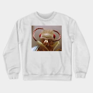 Bee, SEM, (C055/0650) Crewneck Sweatshirt